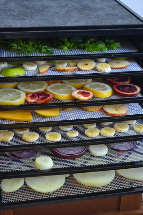 Various fruits and vegetables visible from the front of an opened dehydrator.